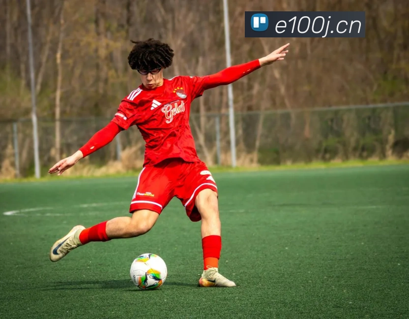 App Interface Preview